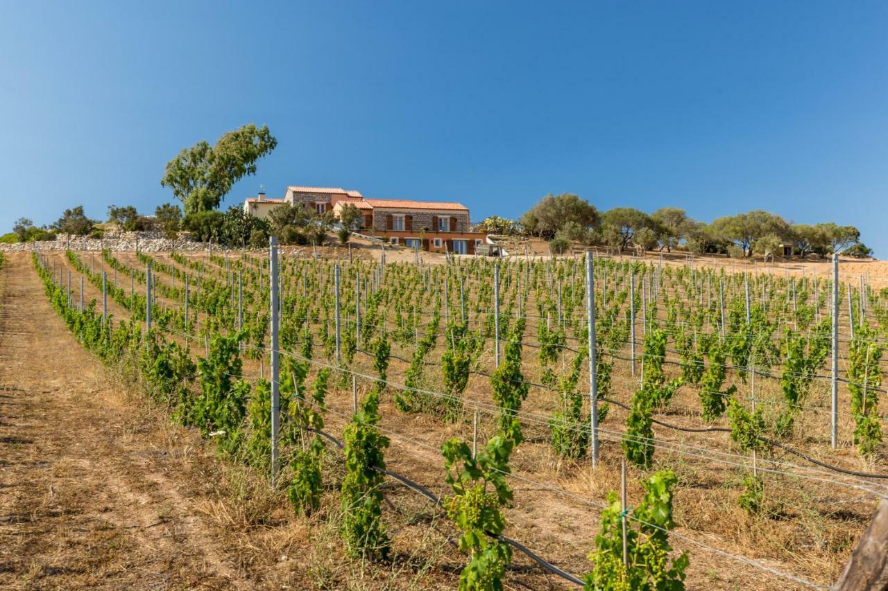 Tenuta Petra Bianca بالاو المظهر الخارجي الصورة