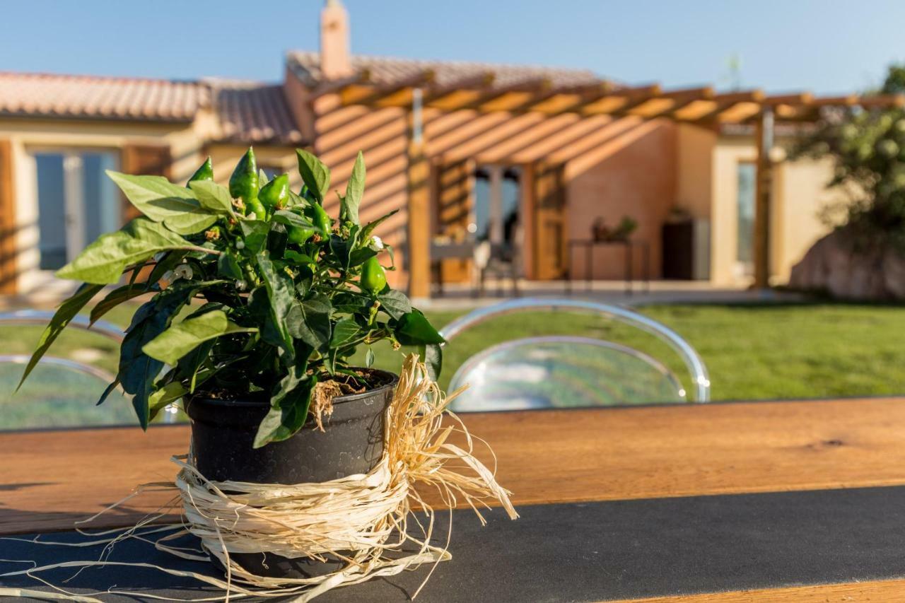 Tenuta Petra Bianca بالاو المظهر الخارجي الصورة
