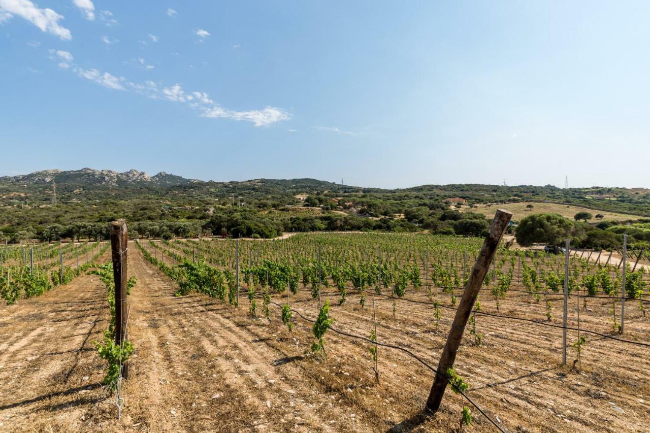 Tenuta Petra Bianca بالاو المظهر الخارجي الصورة