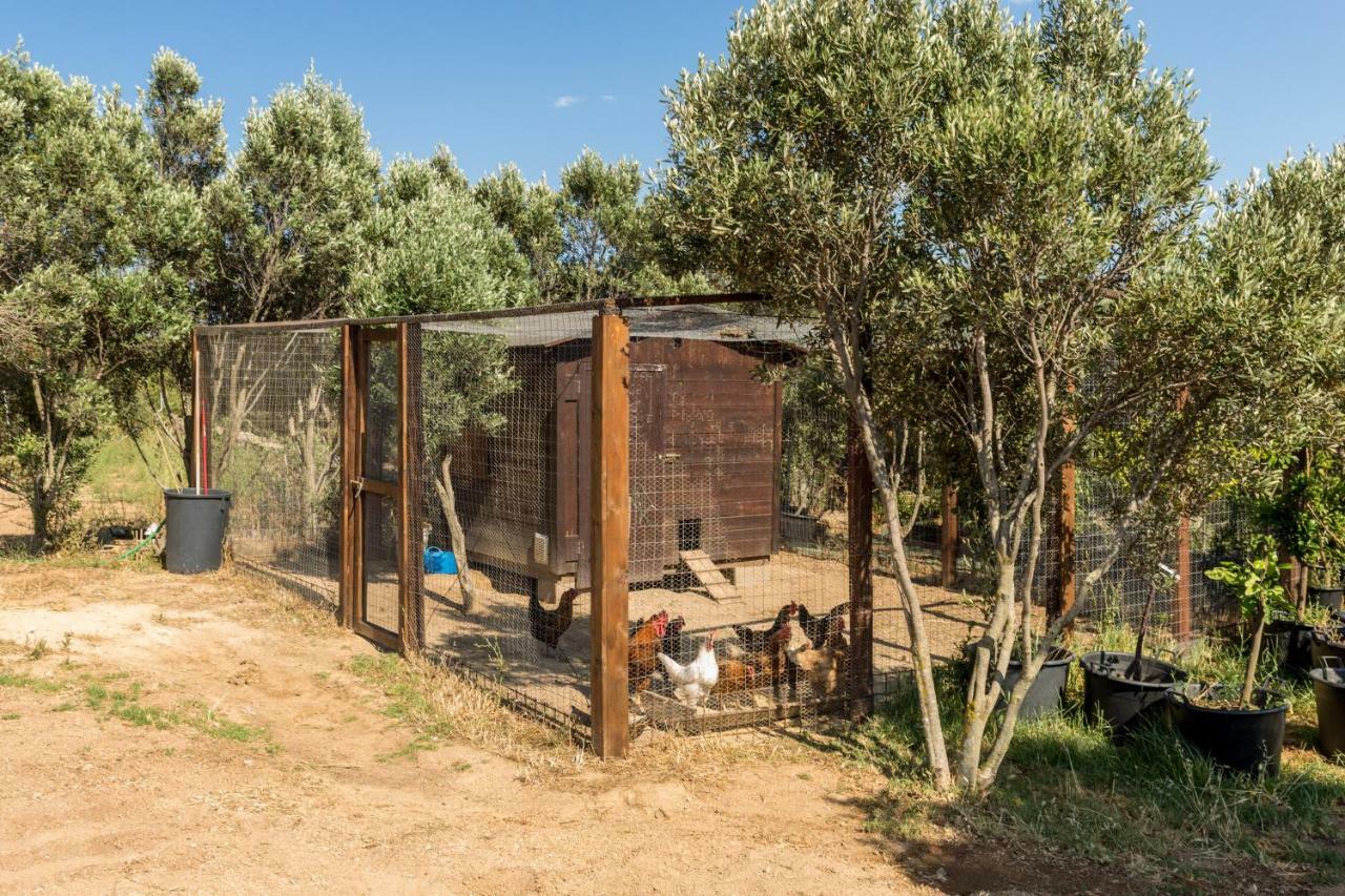 Tenuta Petra Bianca بالاو المظهر الخارجي الصورة
